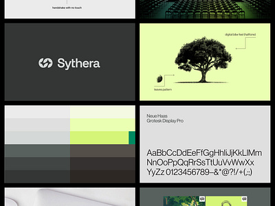 The Web3 Professional Identity